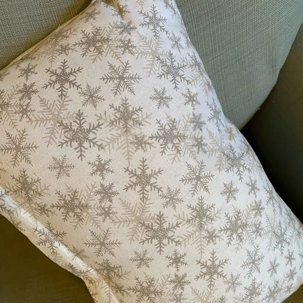 David Tutera Elegant Beaded Embellished Pillow
